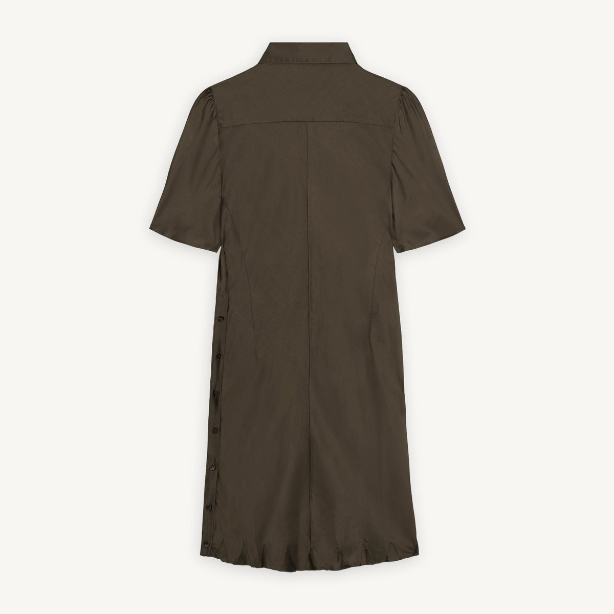 Robe India